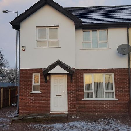 Hotel Lawnbrook Town House Belfast Exterior foto